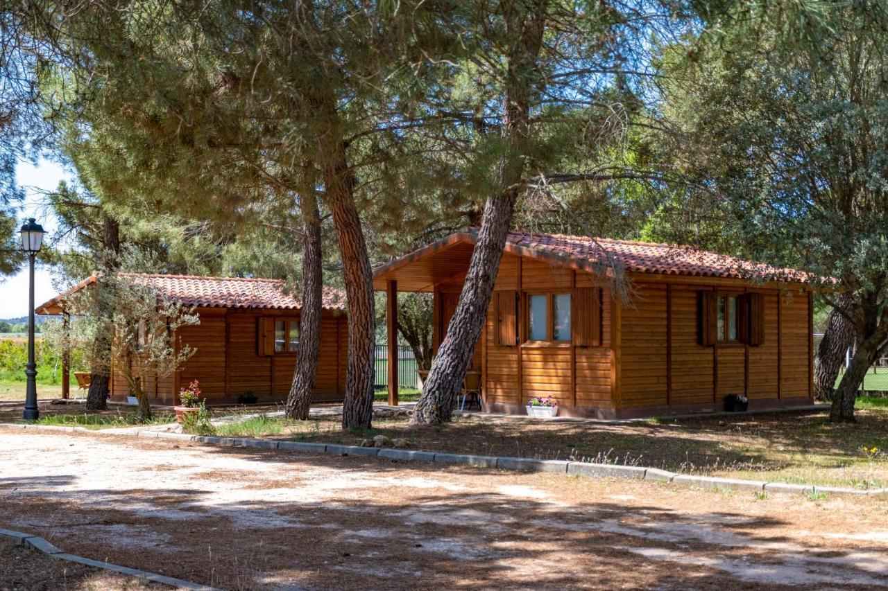 Las Casitas Del Pinar Bayubas de Abajo Luaran gambar